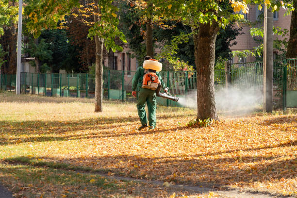 Best Emergency Pest Control  in Oak Hill, TN